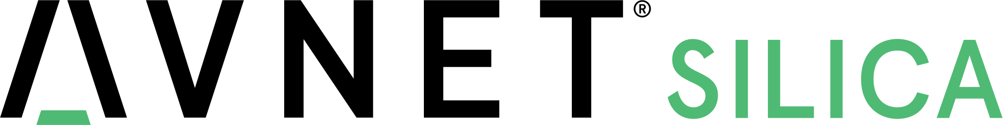 Logo AVNET EMG ITALY SILICA
