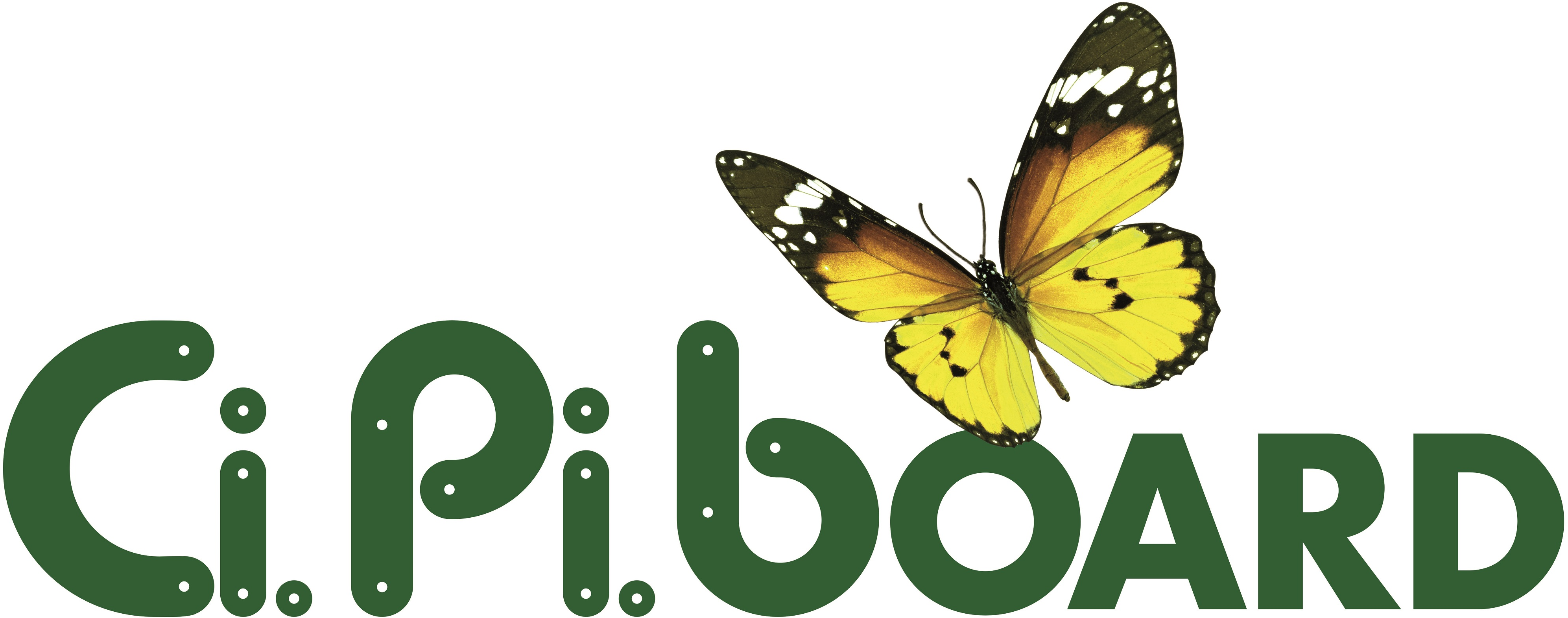 Logo CI.PI.BOARD